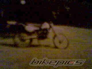 Photo 177772