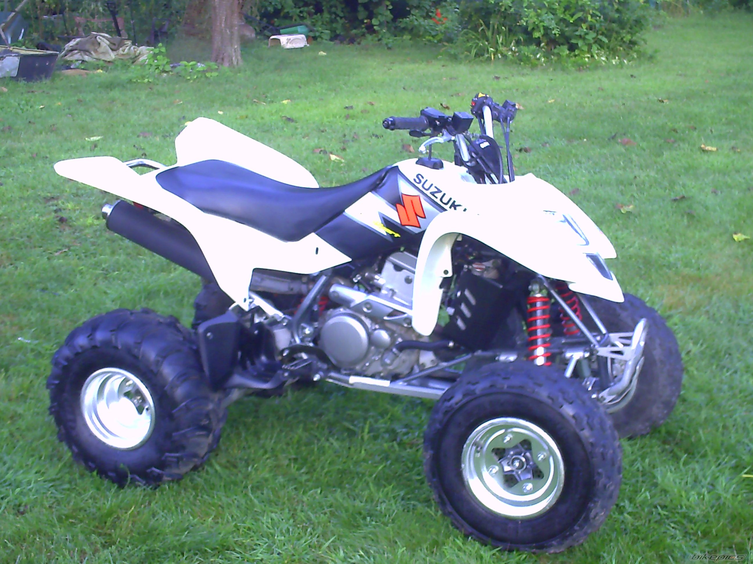 Photo 1777925