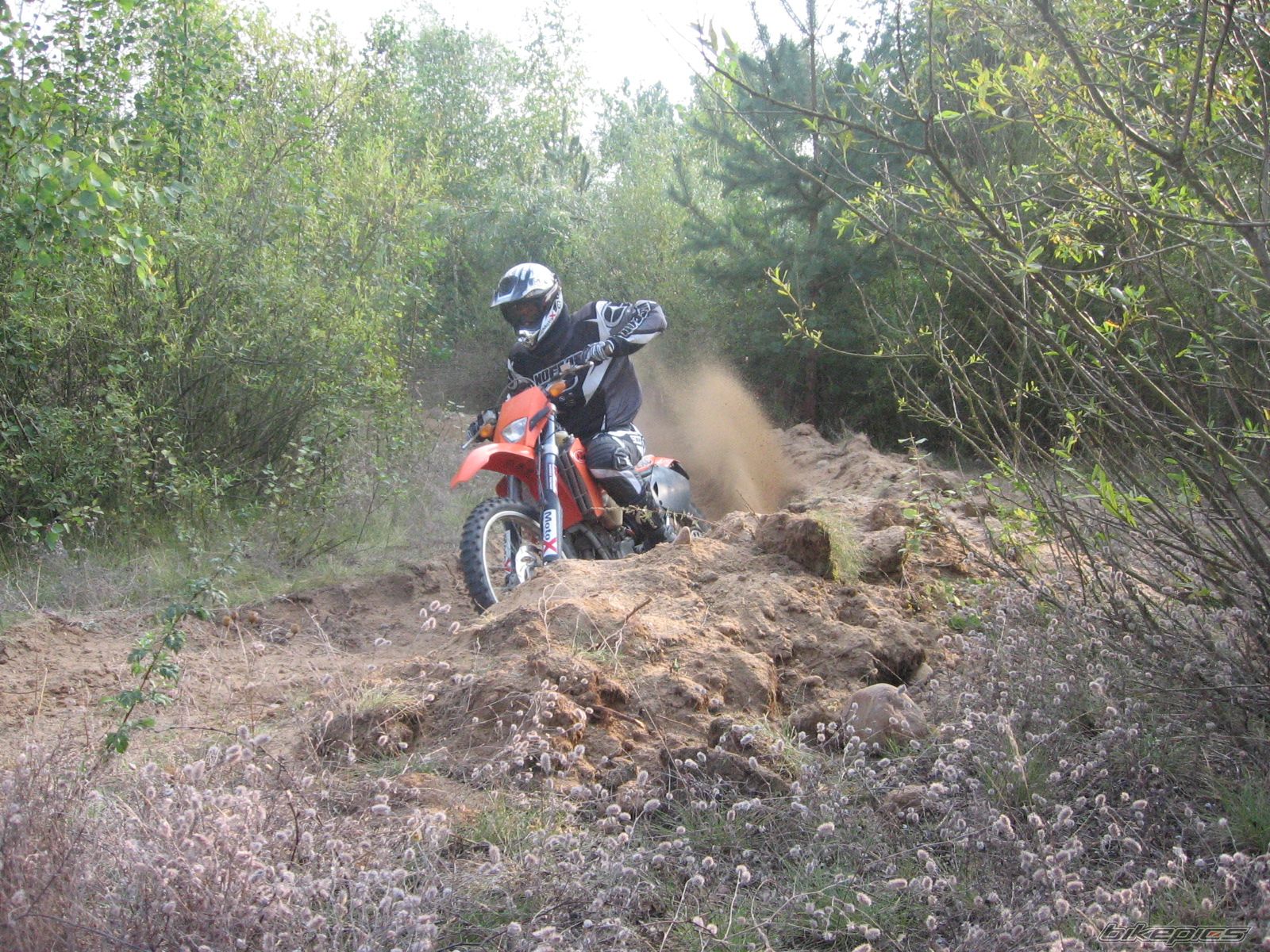 Bike Photo 1777997