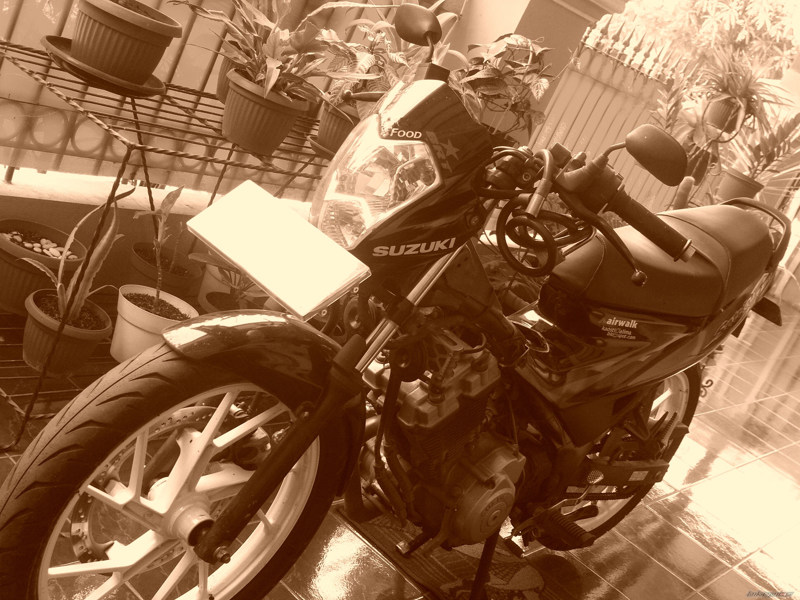 Photo 1778202