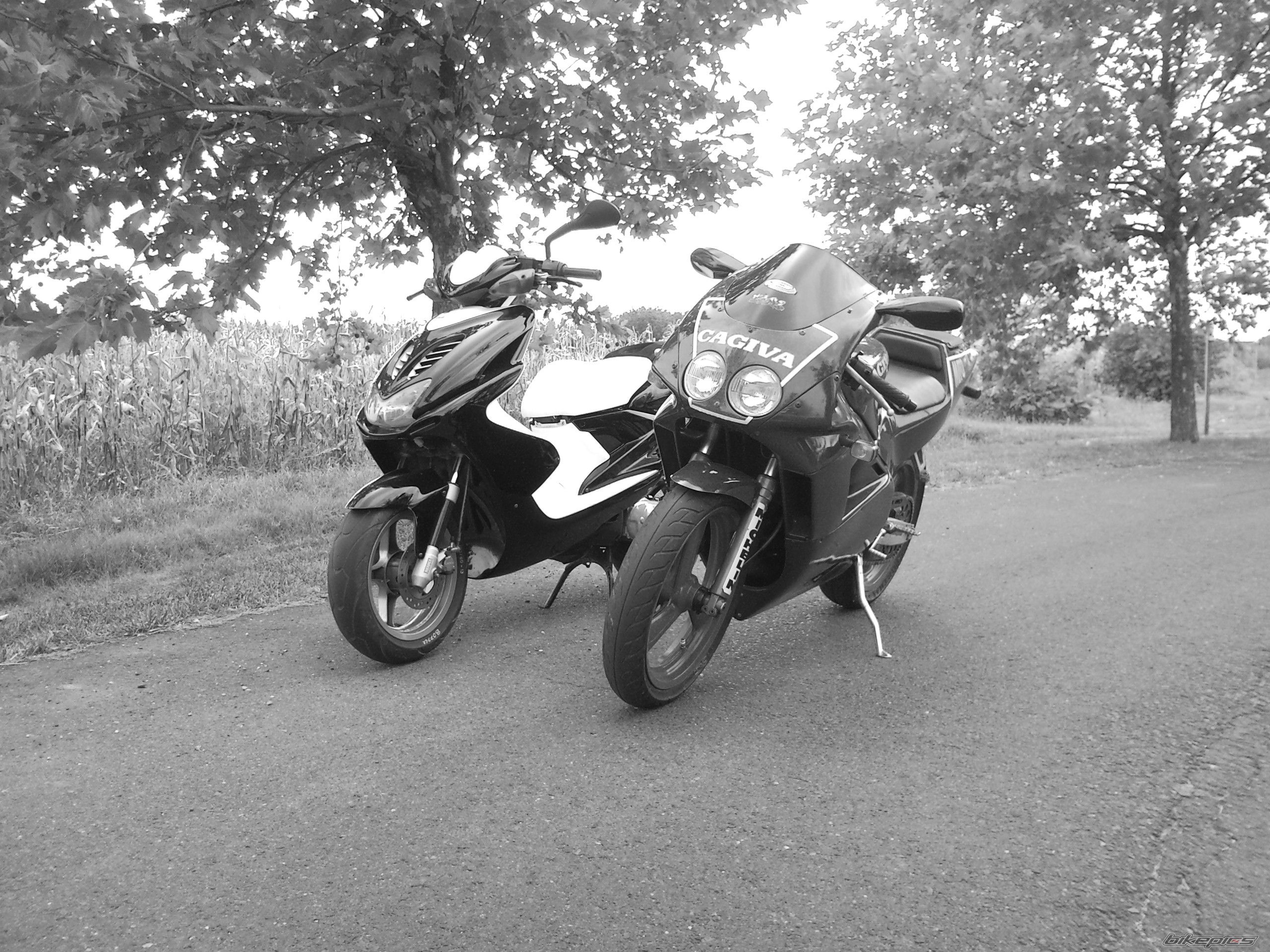 Photo 1778215