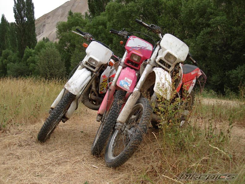 Bike Photo 1778259