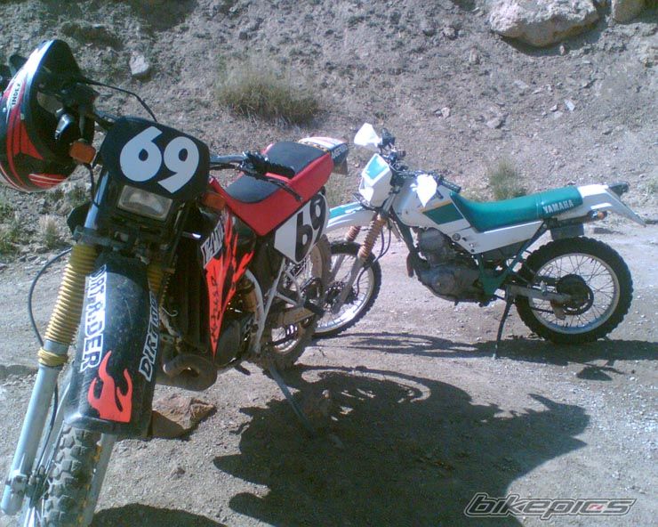 Bike Photo 1778286