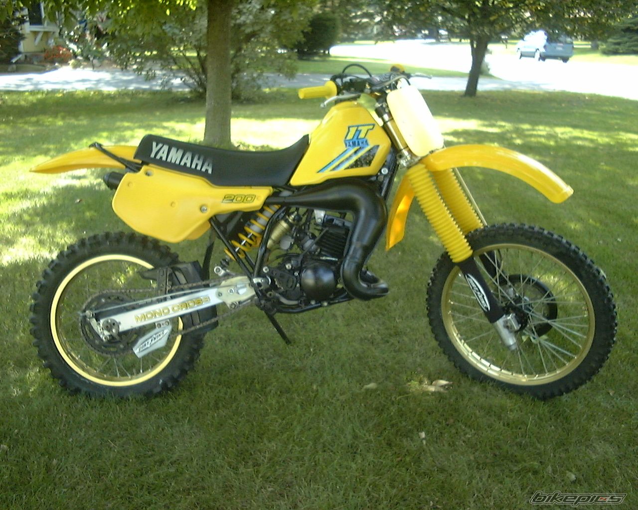 Photo 1778288