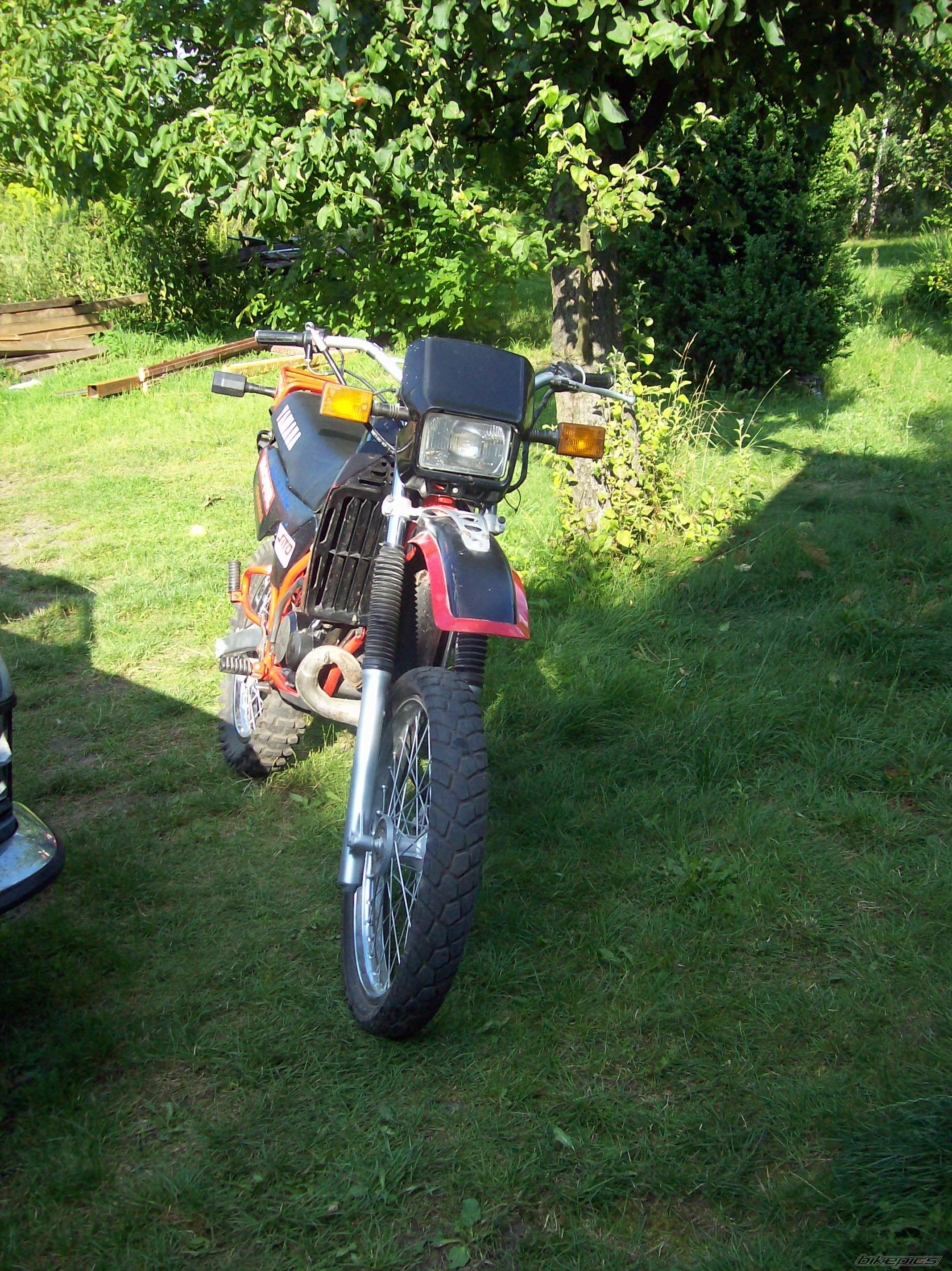 Photo 1778290