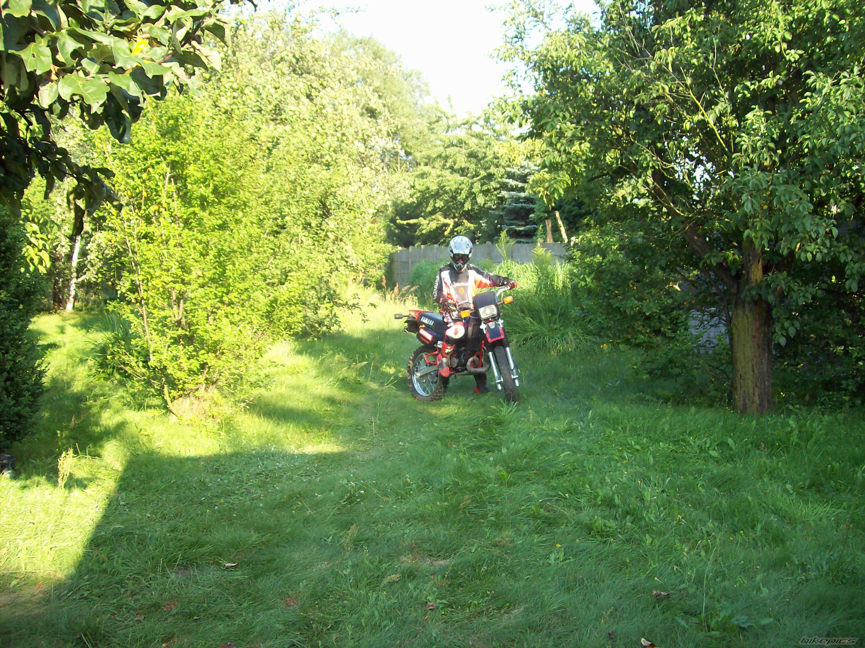 Photo 1778296