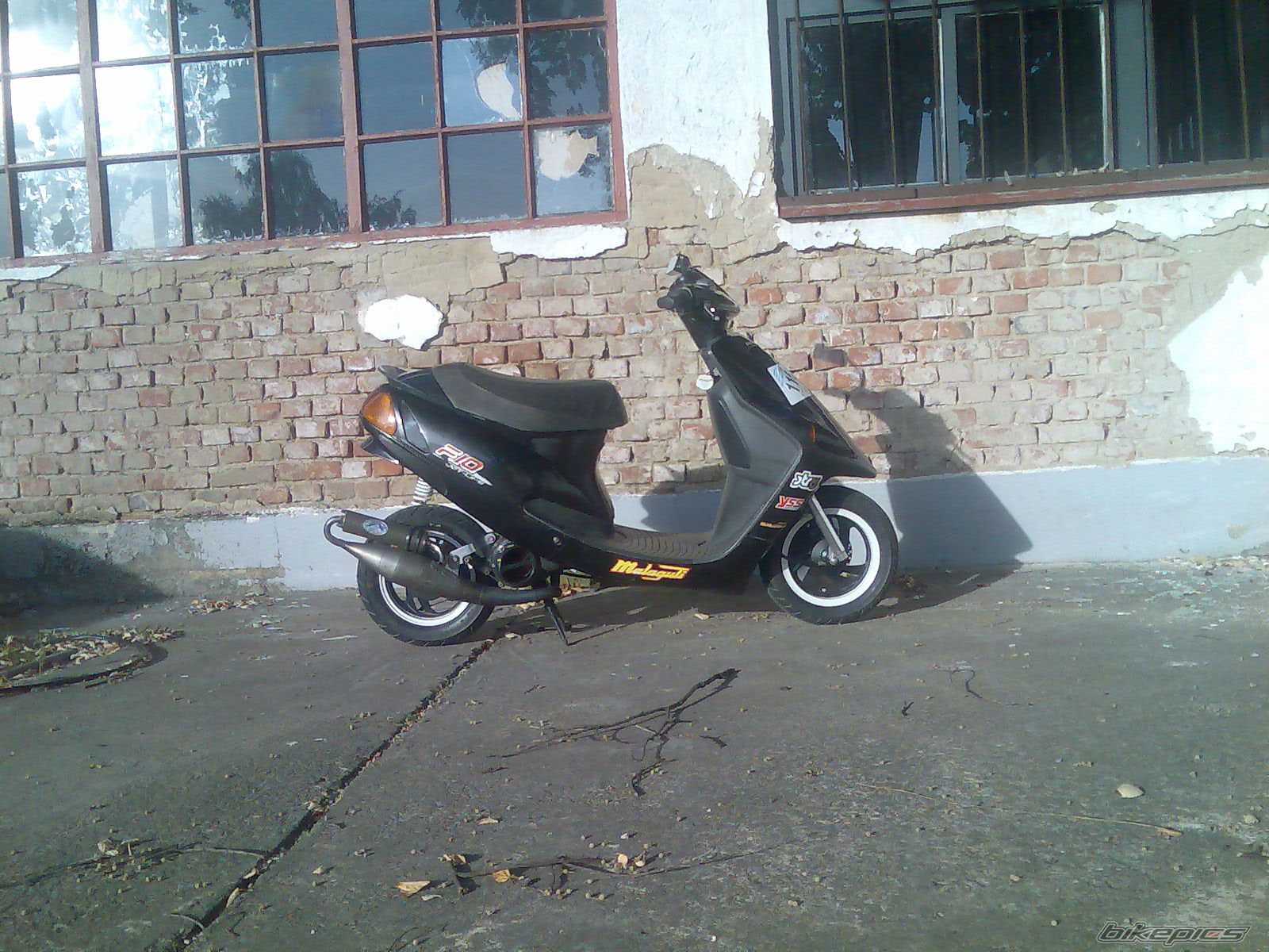 Photo 1778318