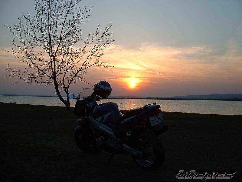Photo 177836