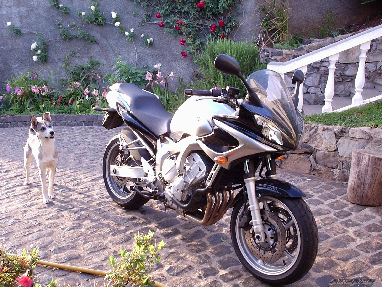 Photo 177844