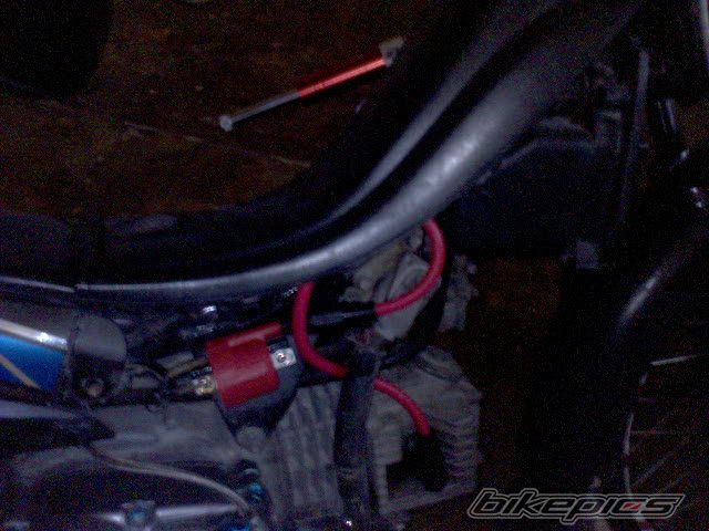 Photo 1778459