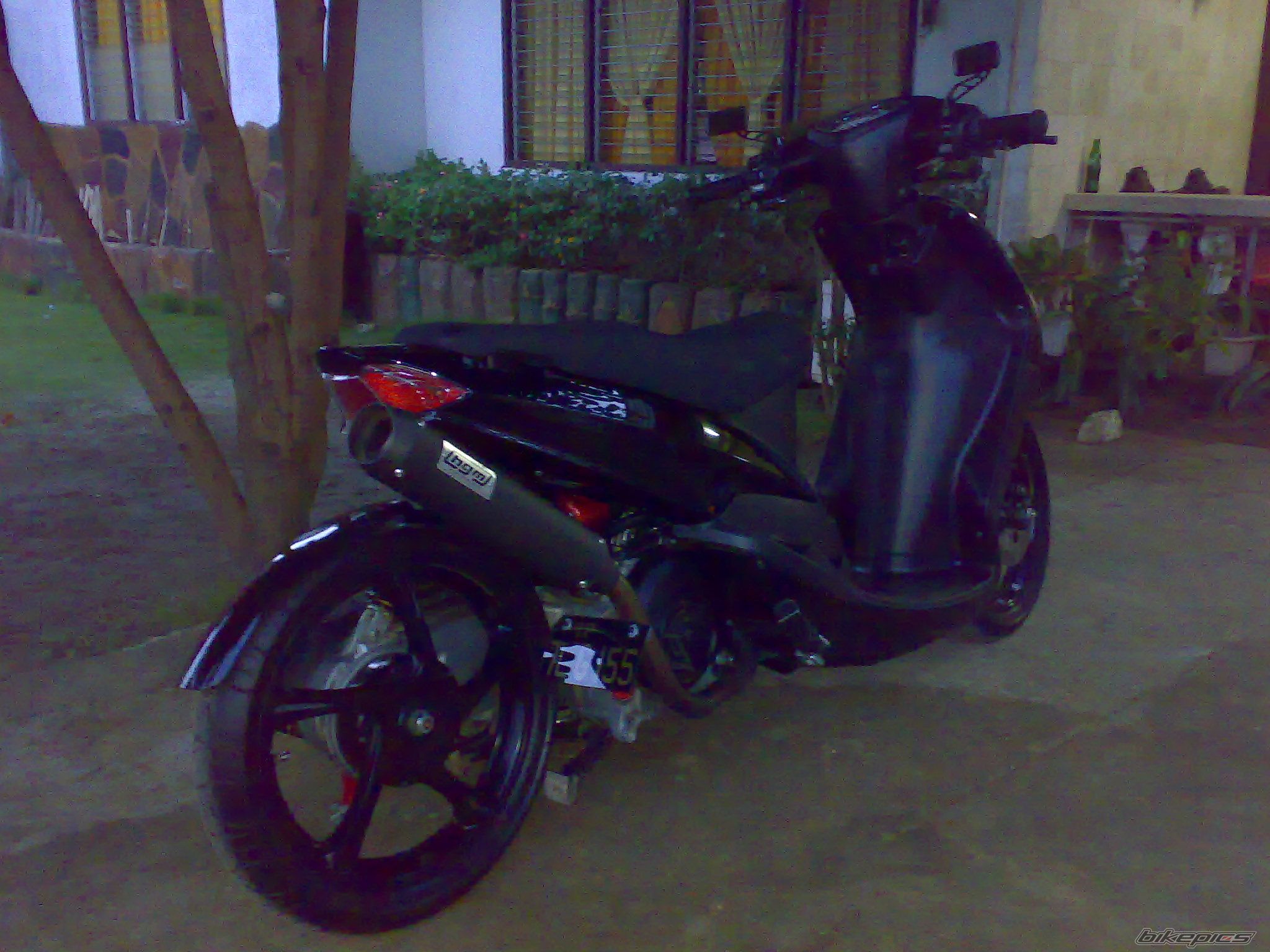 Photo 1778621