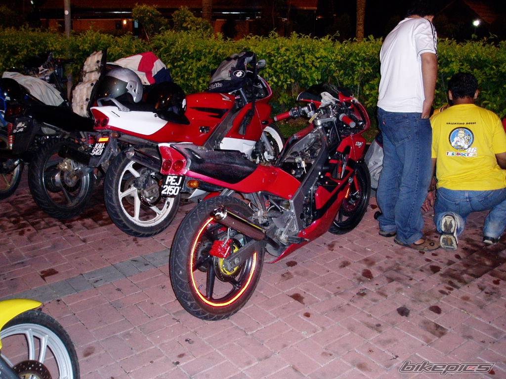 Photo 177868