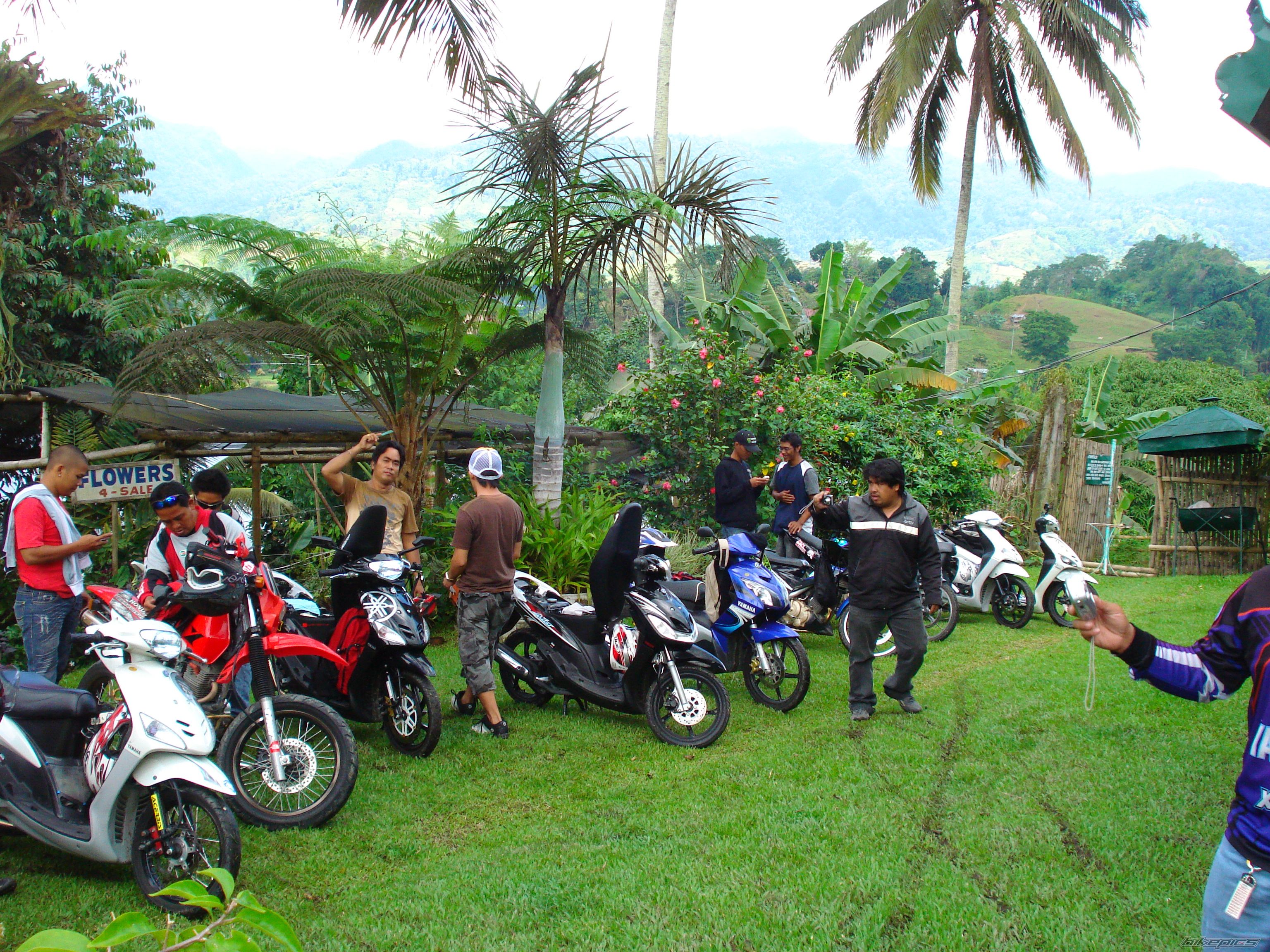 Photo 1778734