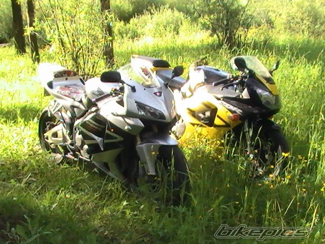 Photo 1778805