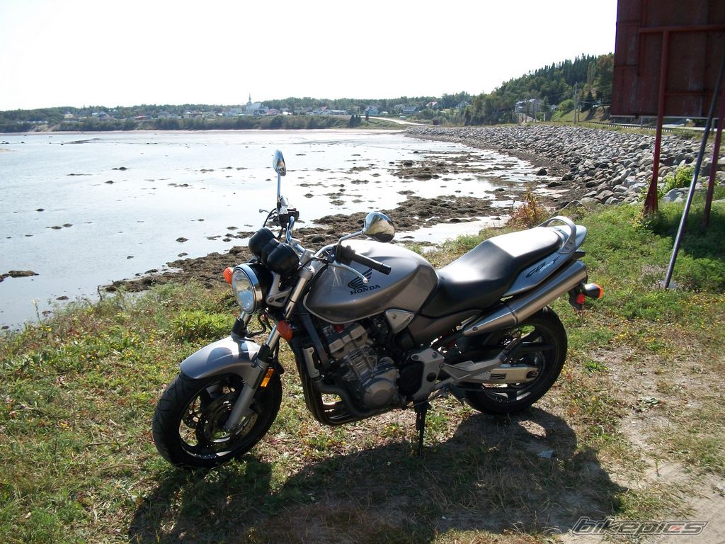 Photo 1778971