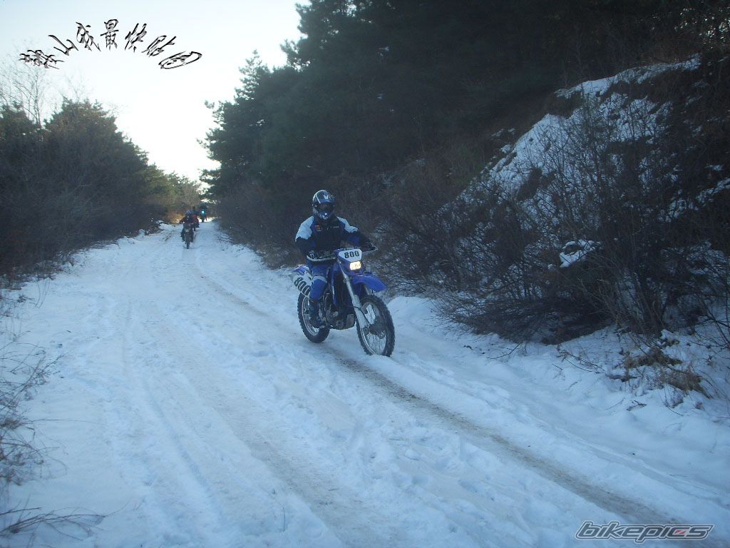 Photo 1779208