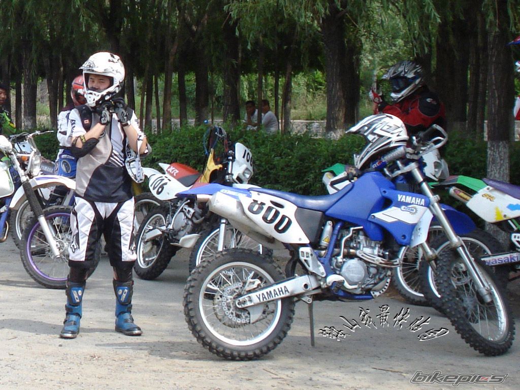Photo 1779226
