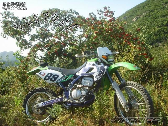 Bike Photo 1779270