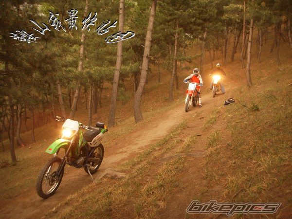 Bike Photo 1779273