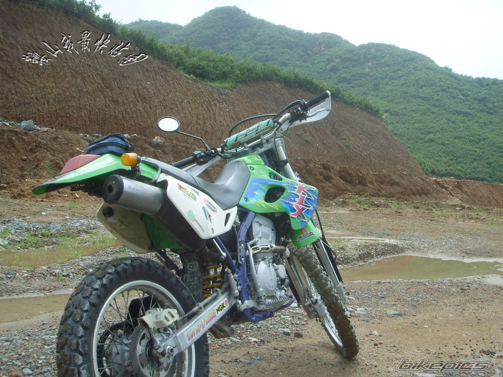 Bike Photo 1779288
