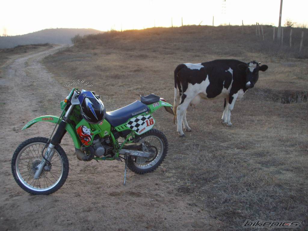 Bike Photo 1779321