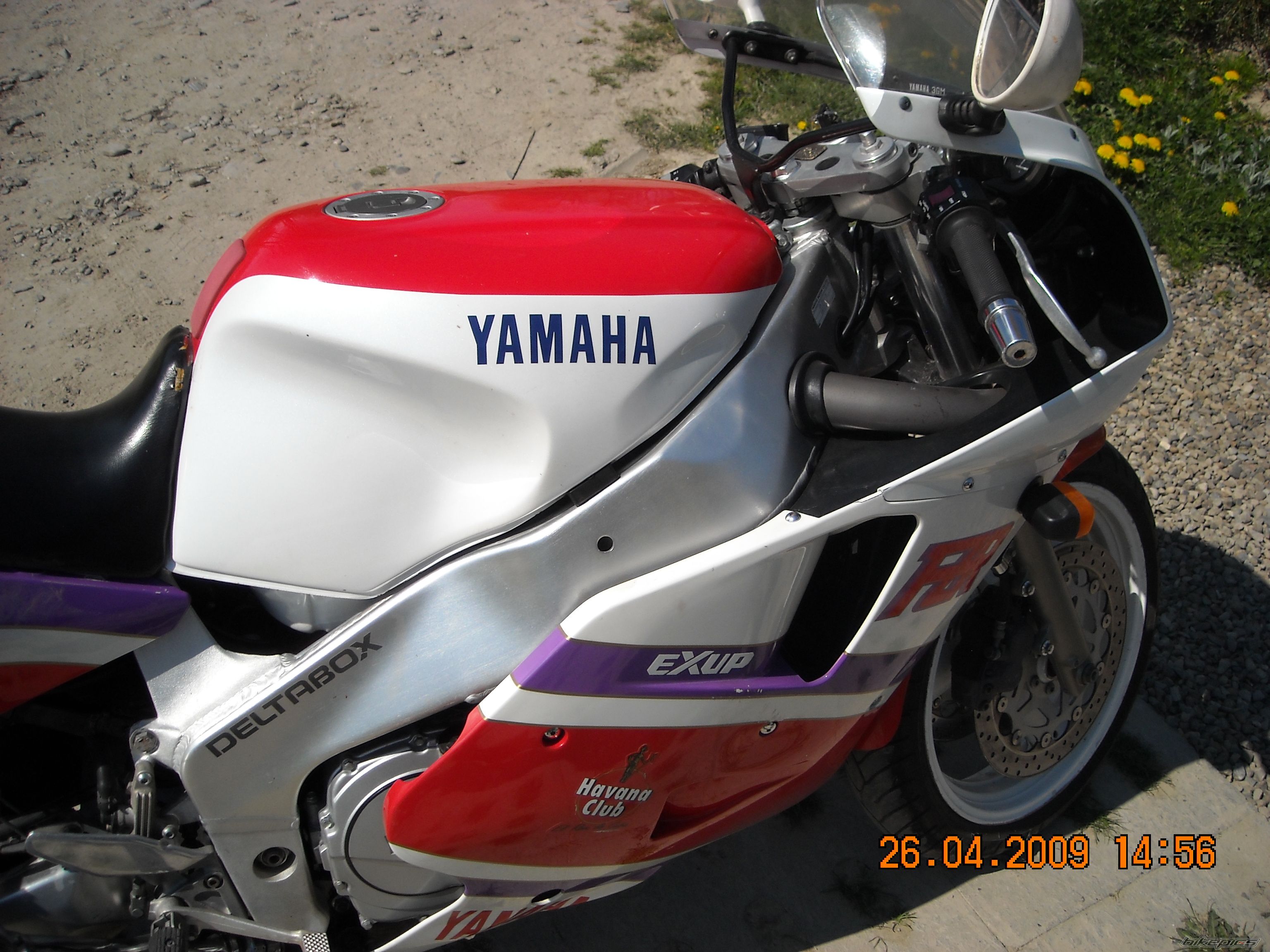 Photo 1779405
