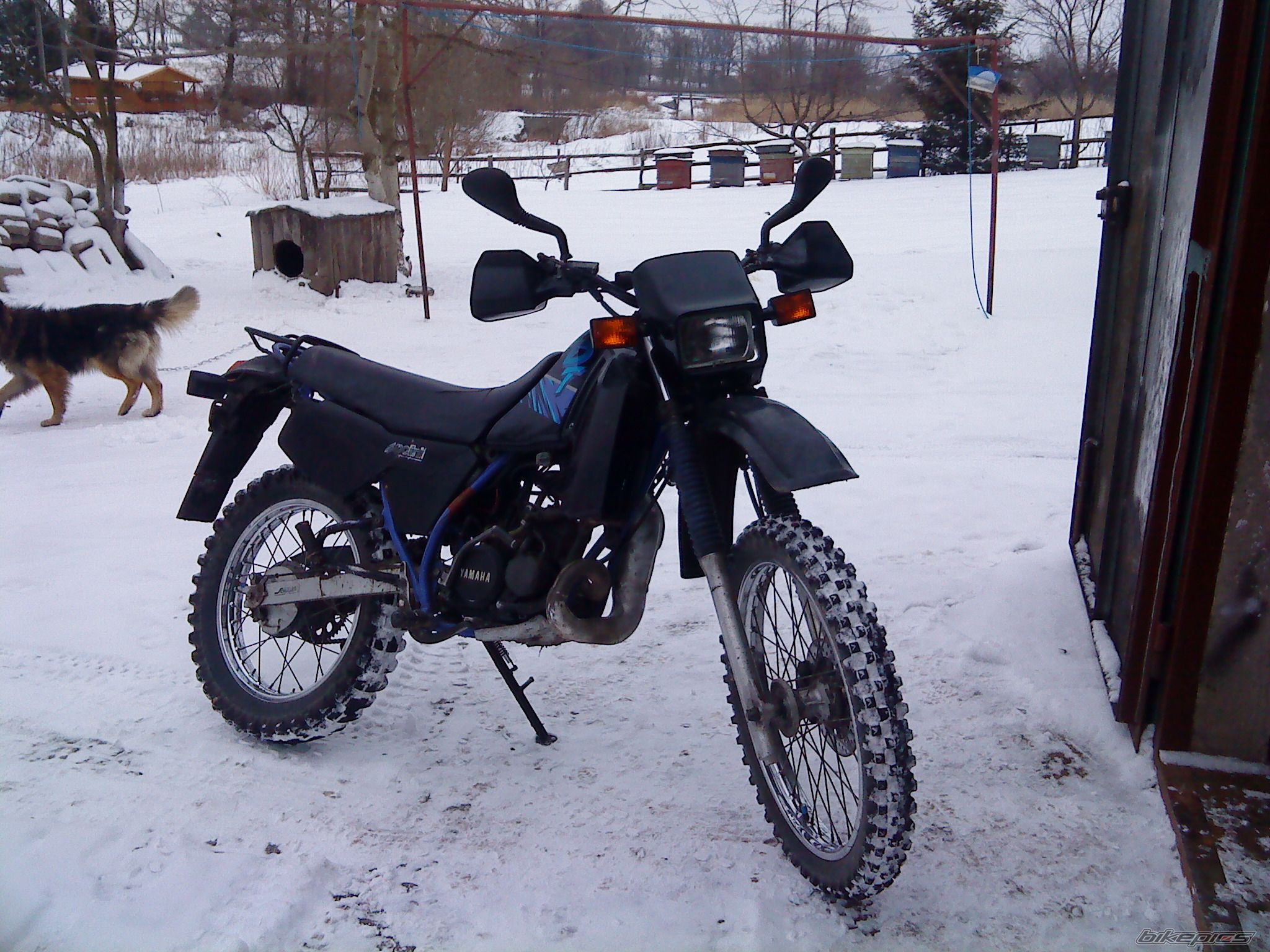 Photo 1779443