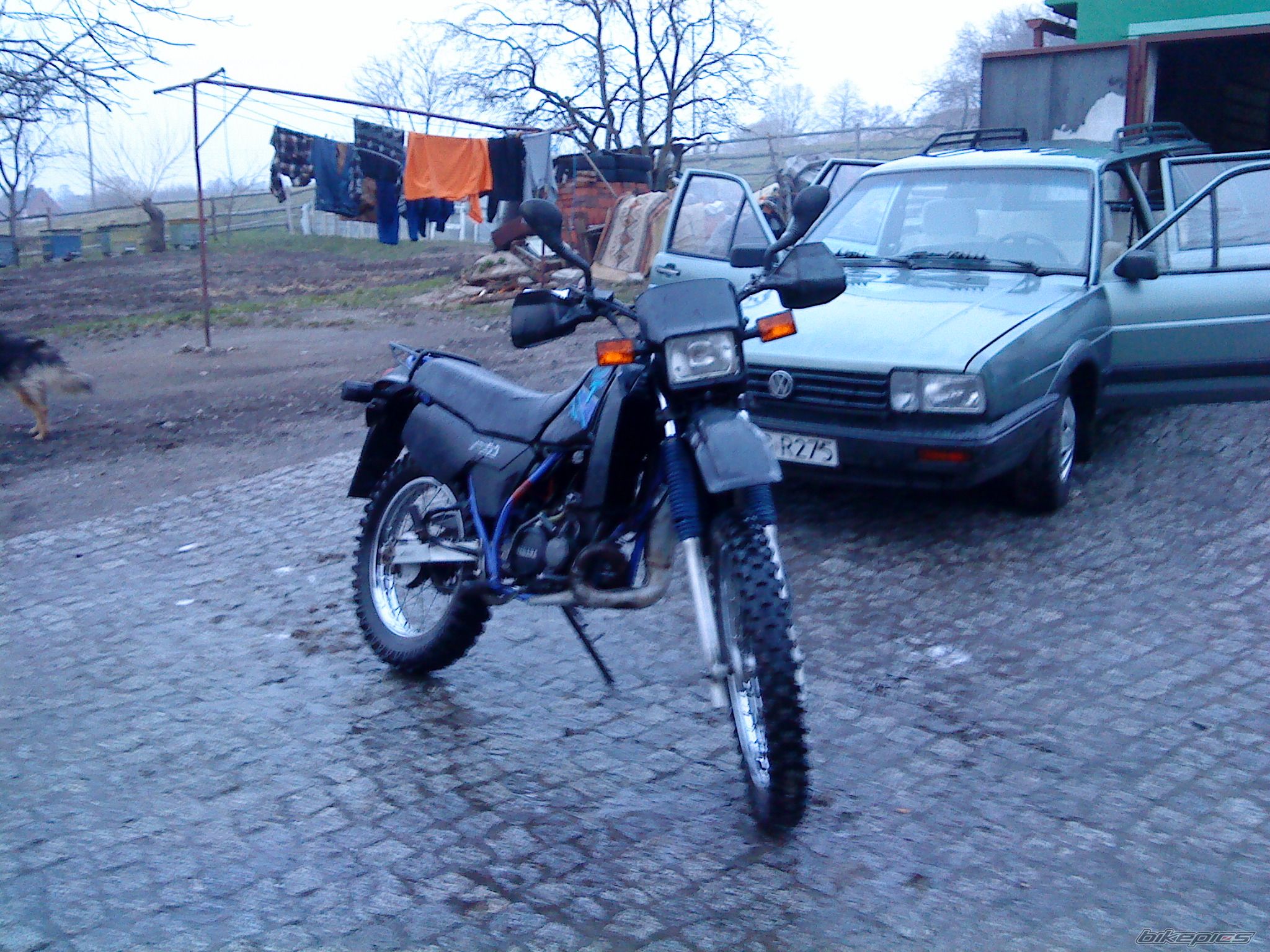 Photo 1779444