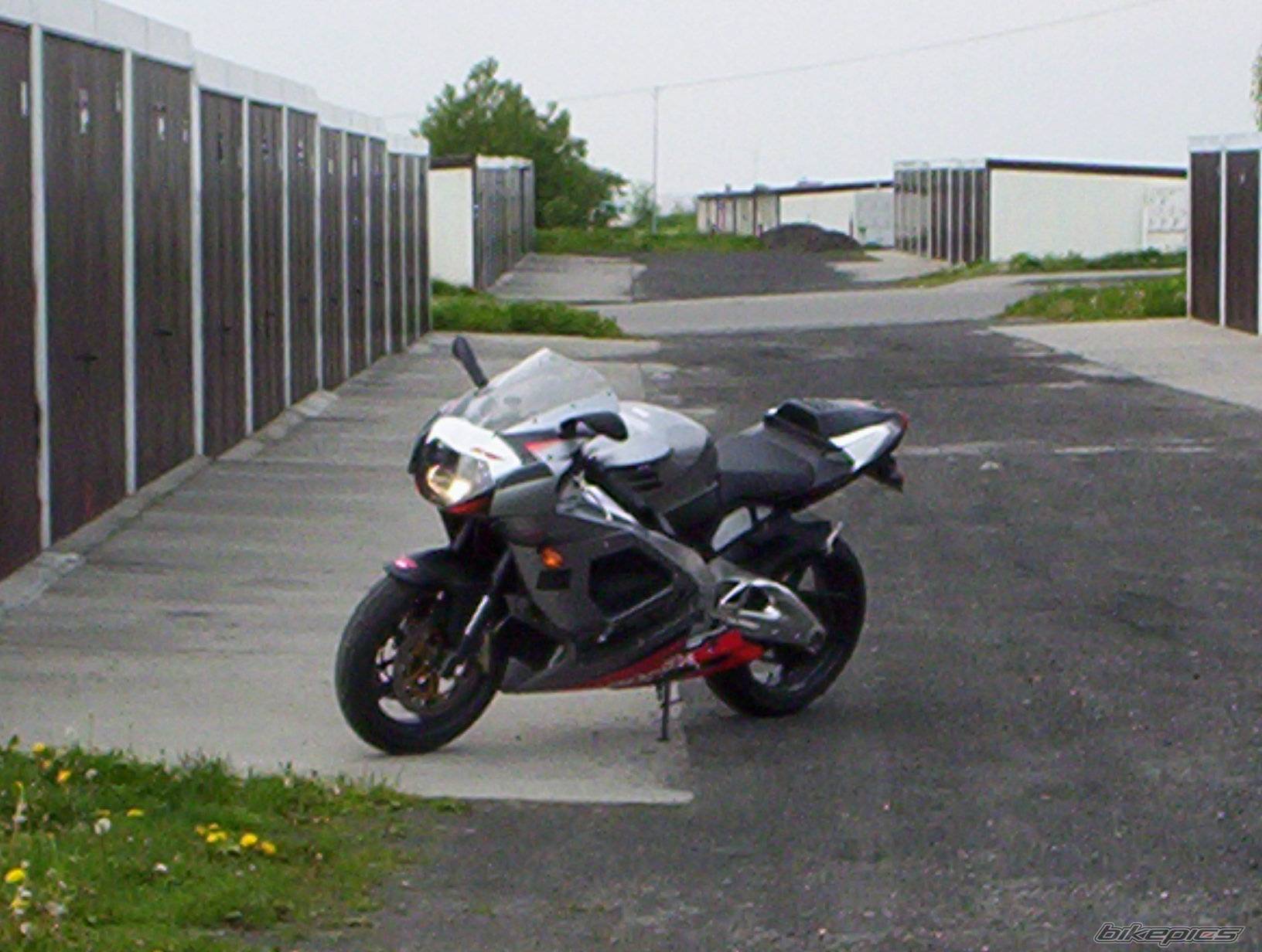 Photo 177946