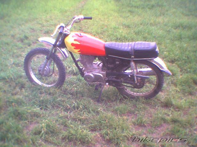 Photo 177953