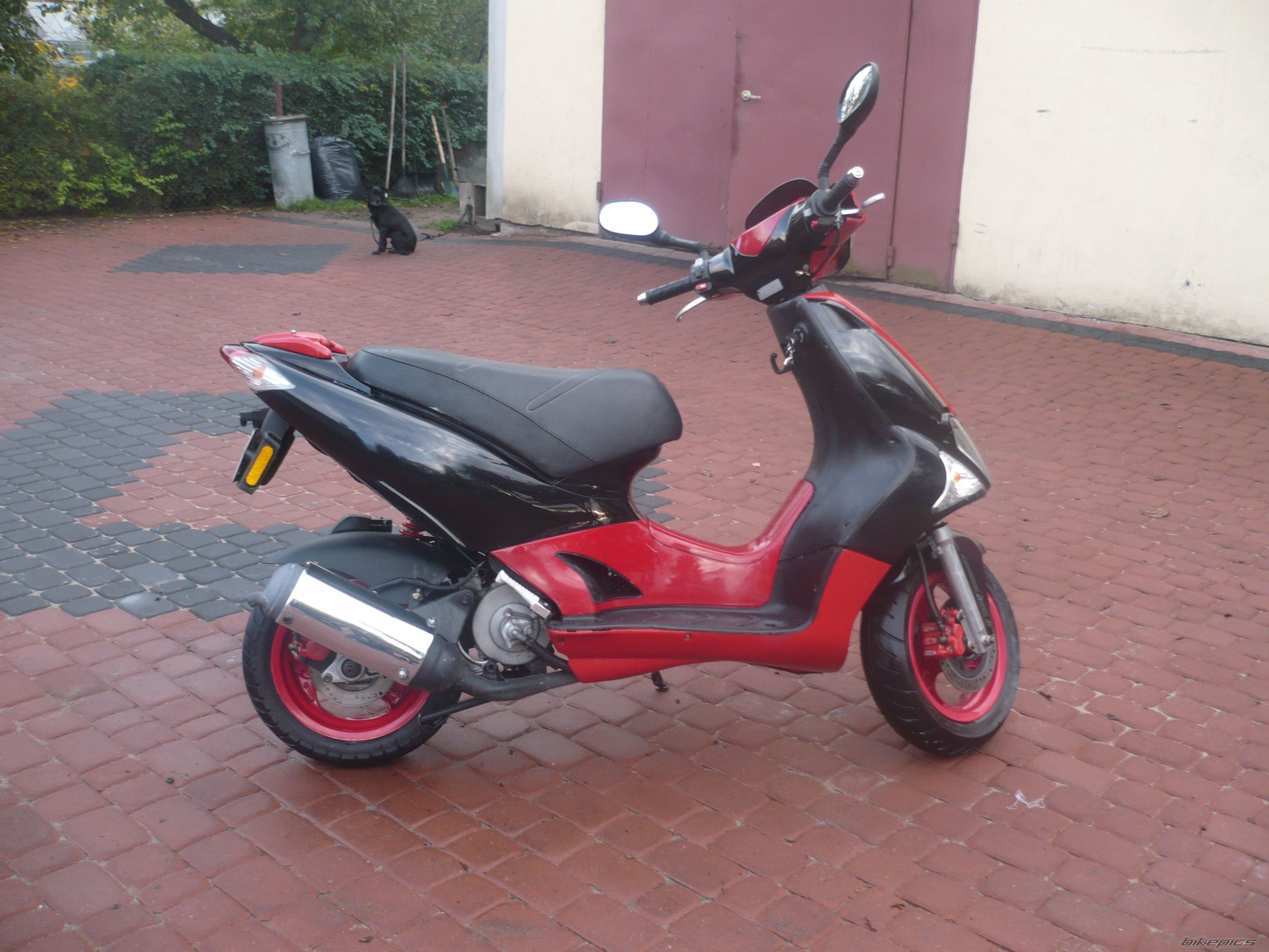 Photo 1779664