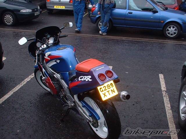 Photo 17798
