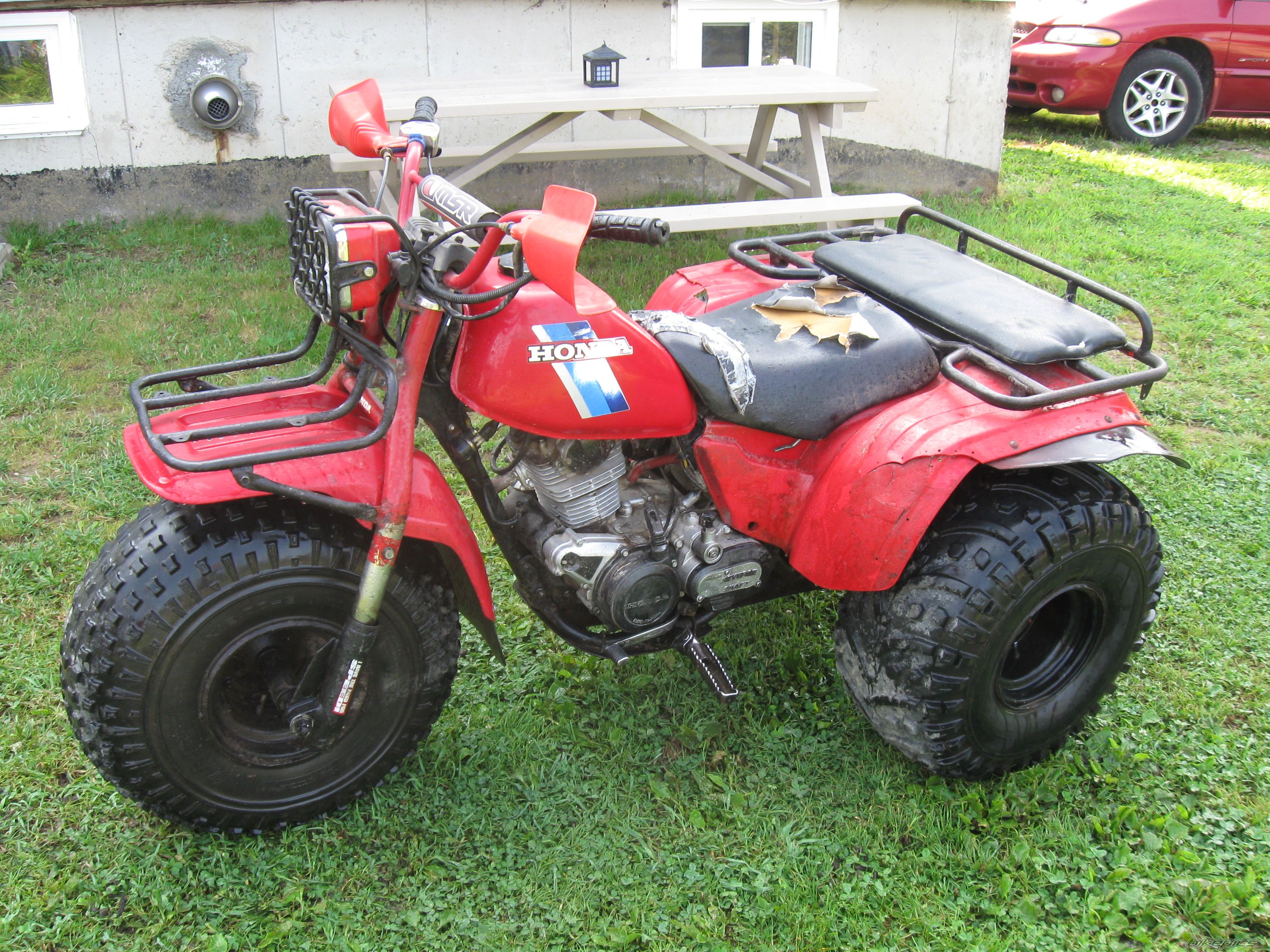 Photo 1780147