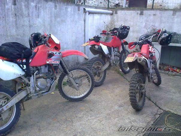 Photo 1780674