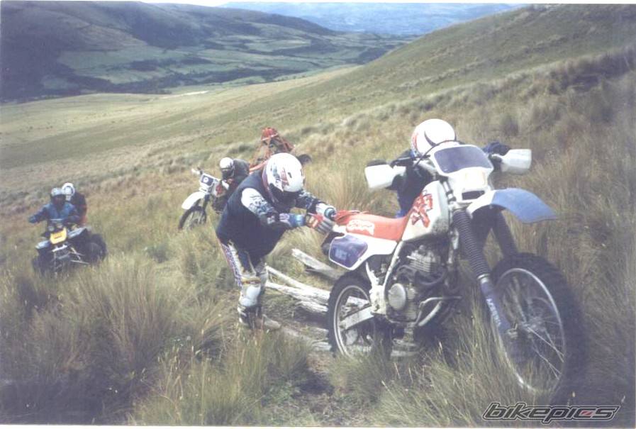 Bike Photo 178094