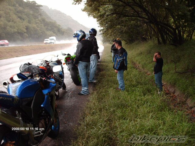 Photo 1781037