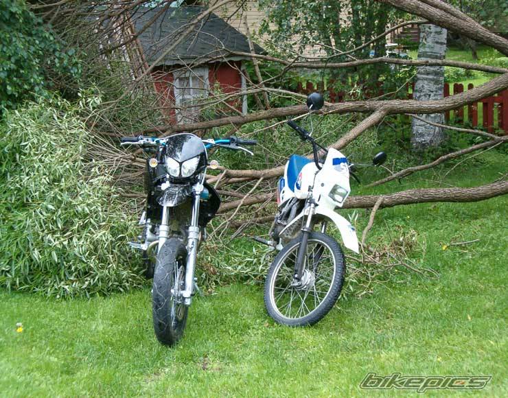 Photo 178105