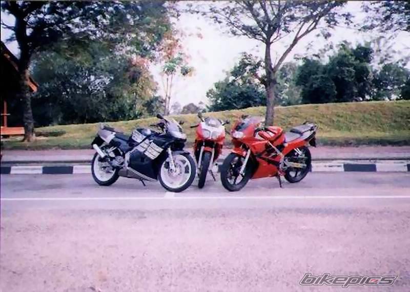 Photo 178110