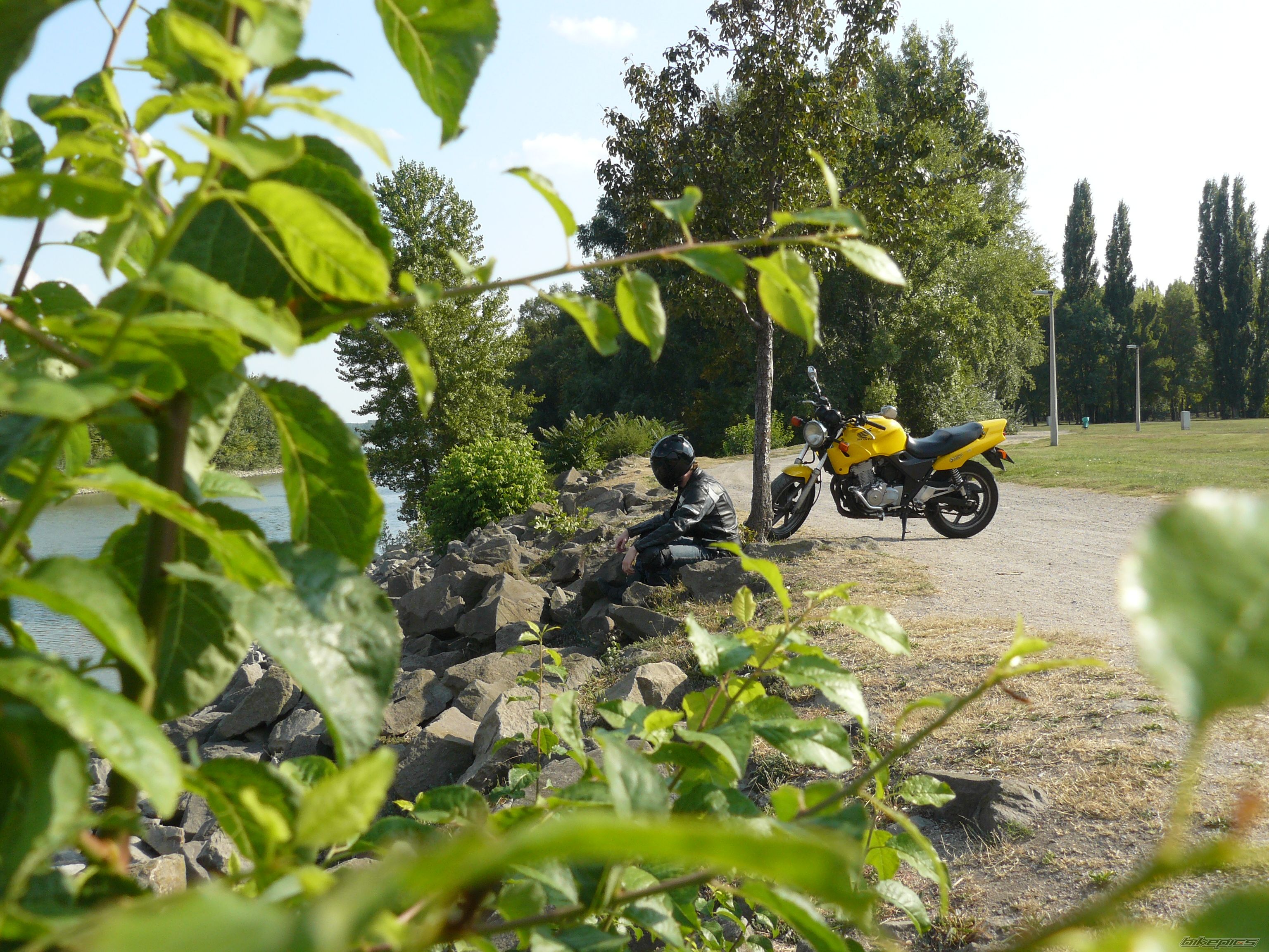Bike Photo 1781352