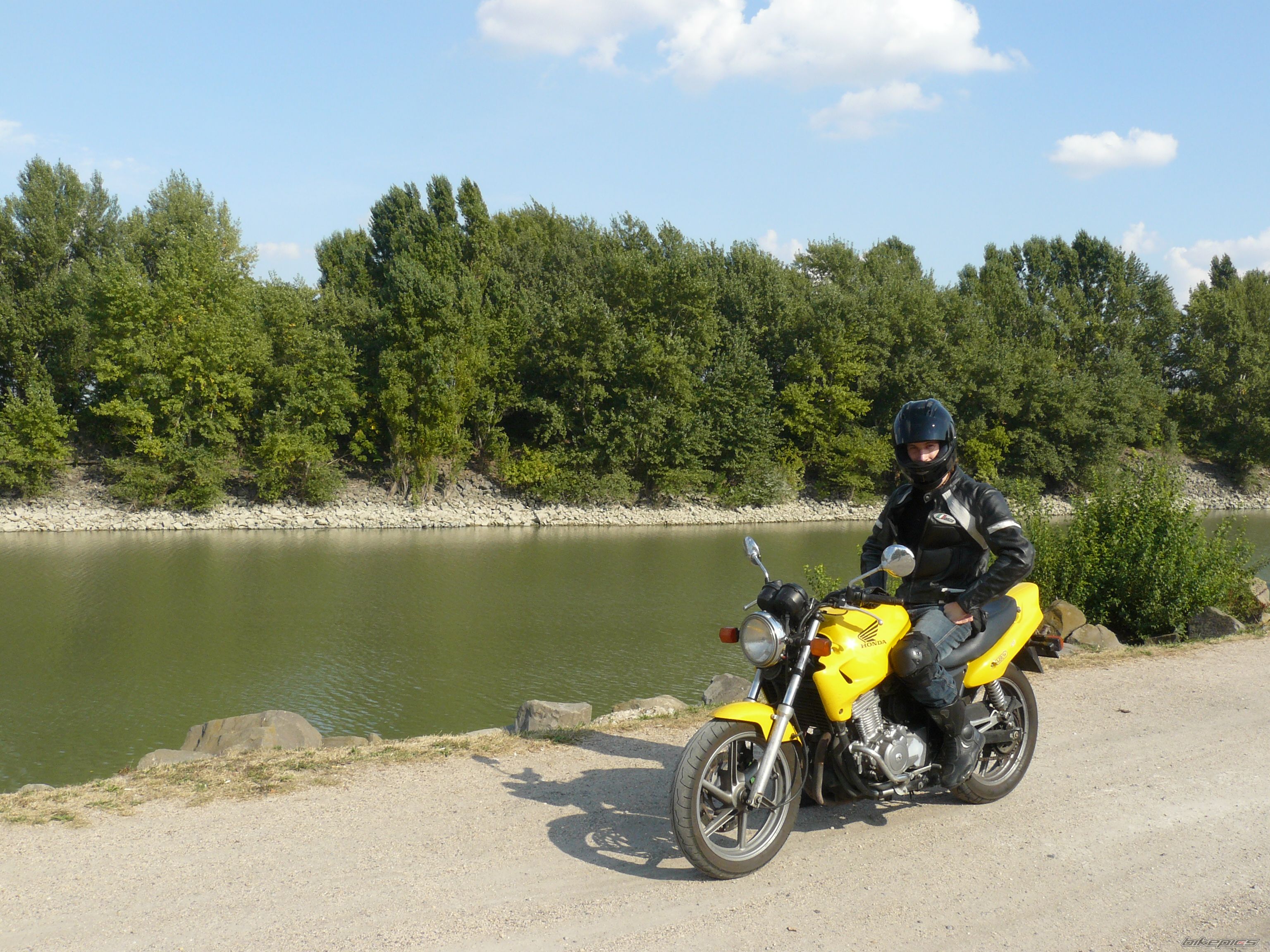 Photo 1781353
