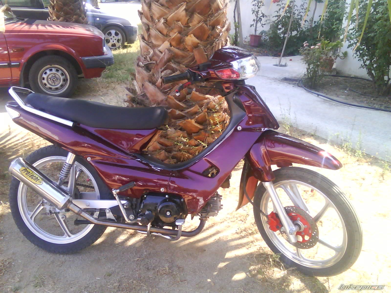 Photo 1781418