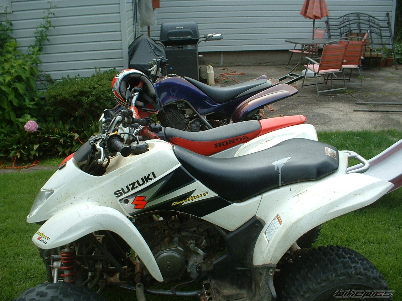 Photo 1781481