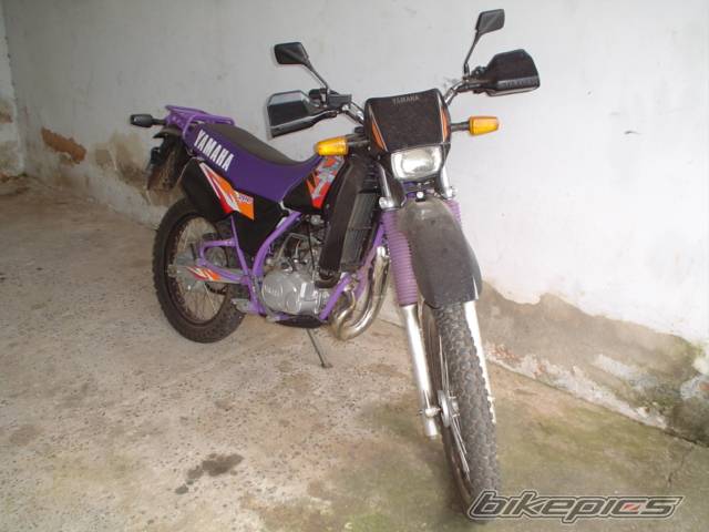 Photo 178153