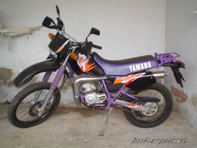 Photo 178154