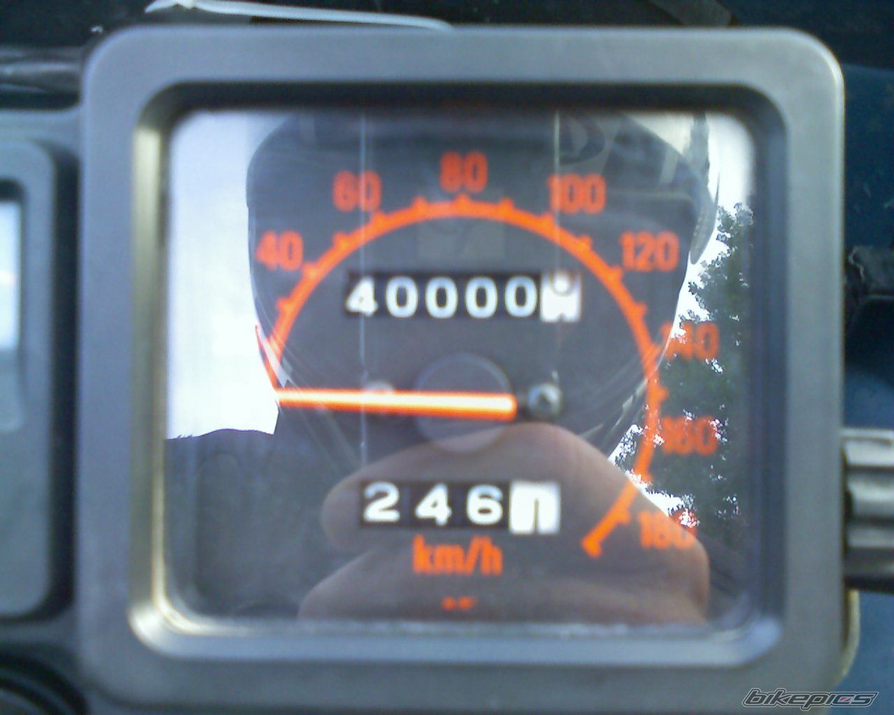 Photo 1781704