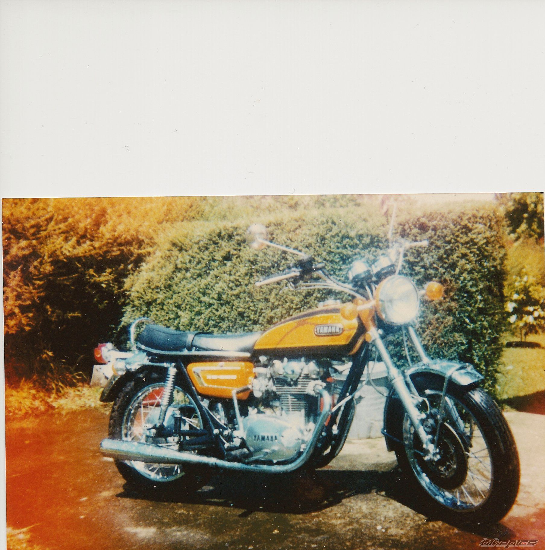 Photo 1781808
