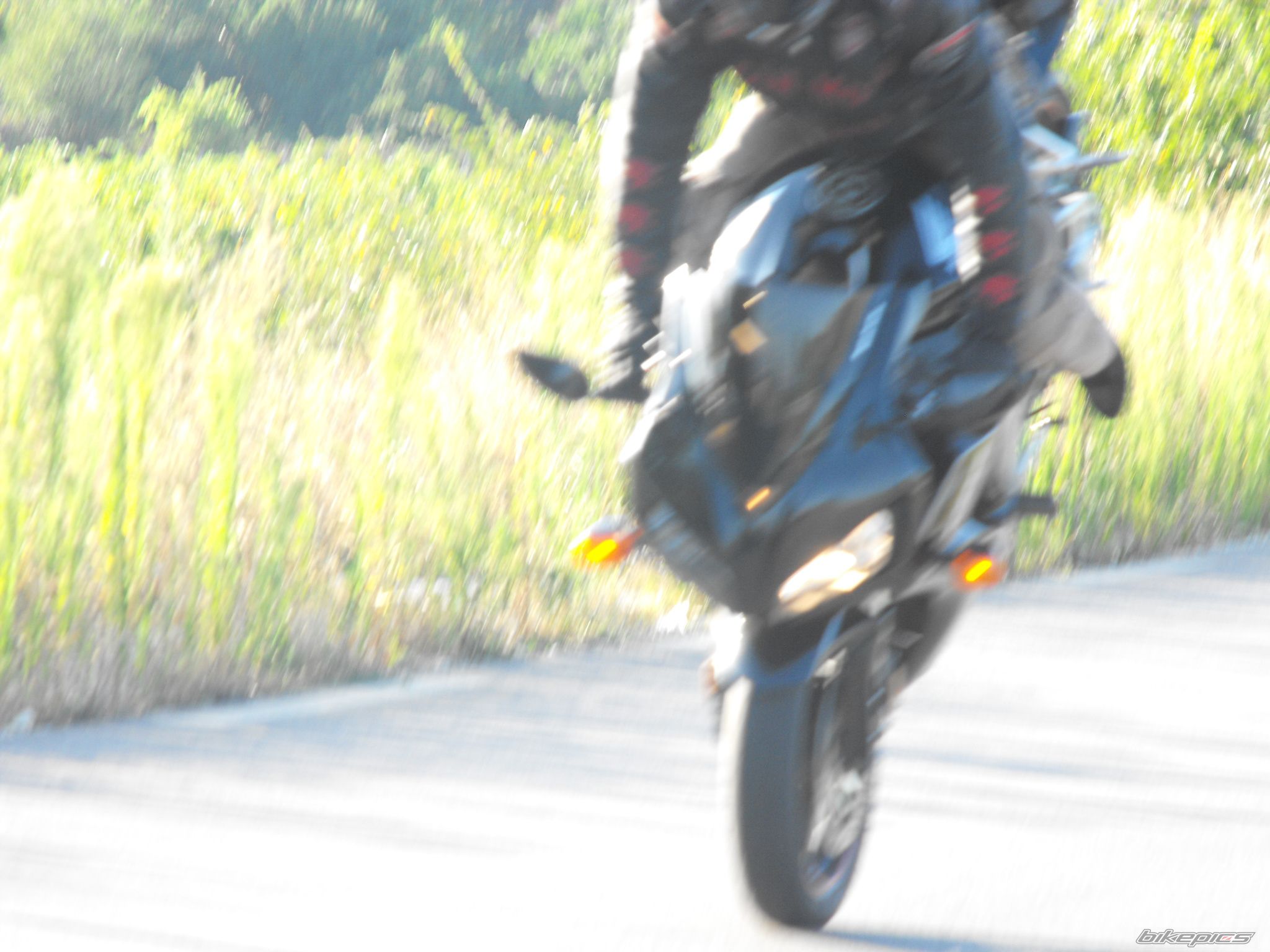 Photo 1781851