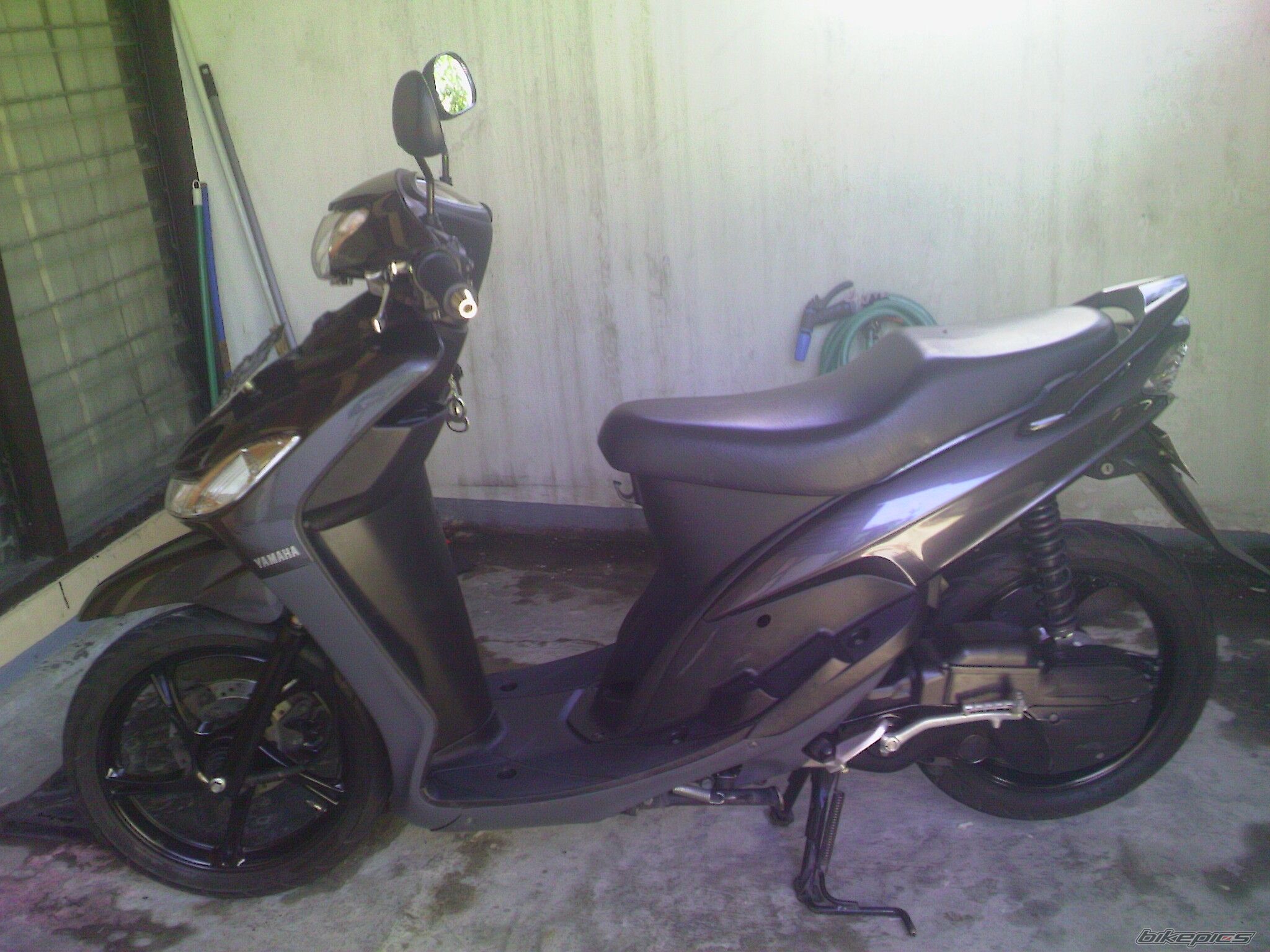 Photo 1781894