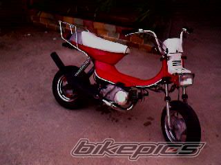 Bike Photo 1781990