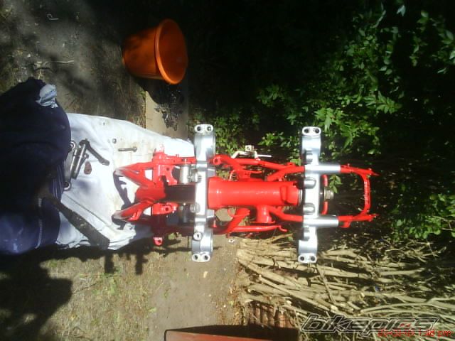 Photo 1782054